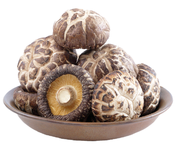Shiitake Mushroom