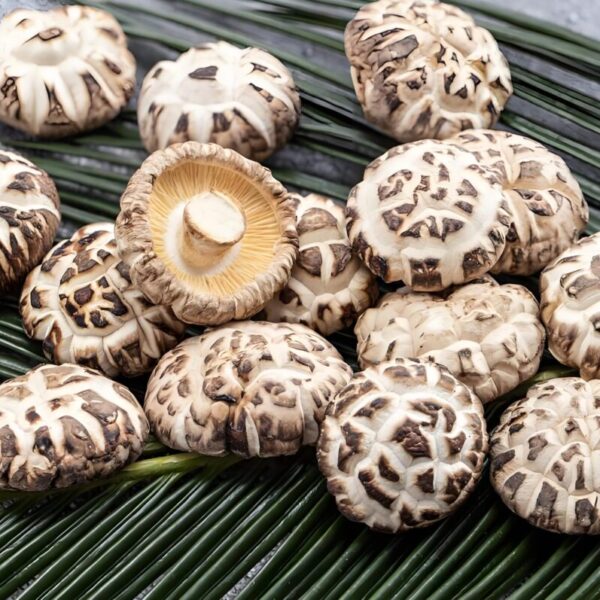 Premium Dried Shiitake Mushrooms