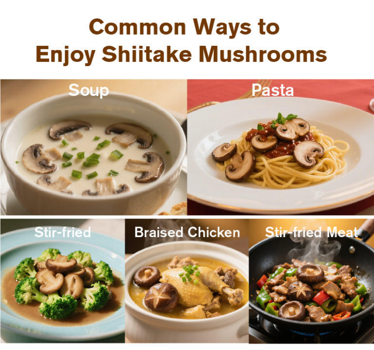 Top 10 Uses of Dried Shiitake Mushrooms (Complete Guide for Buyers / Importers / Wholesale & Food Businesses)