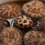Grade A Shiitake Mushrooms Supplier 6