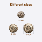 Dried Shiitake Mushrooms 3