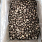 Dried Shiitake Mushrooms 4