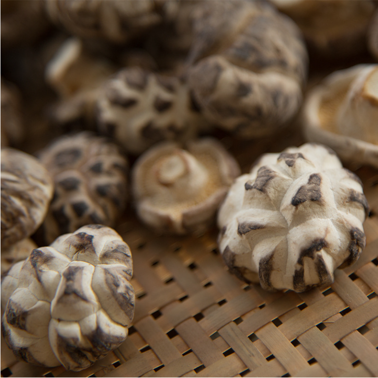 How to Identify High Quality Shiitake Mushrooms (Buyer’s Guide for Importers)
