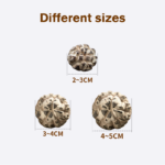 Small Size Shiitake Mushrooms (2–3cm) 1