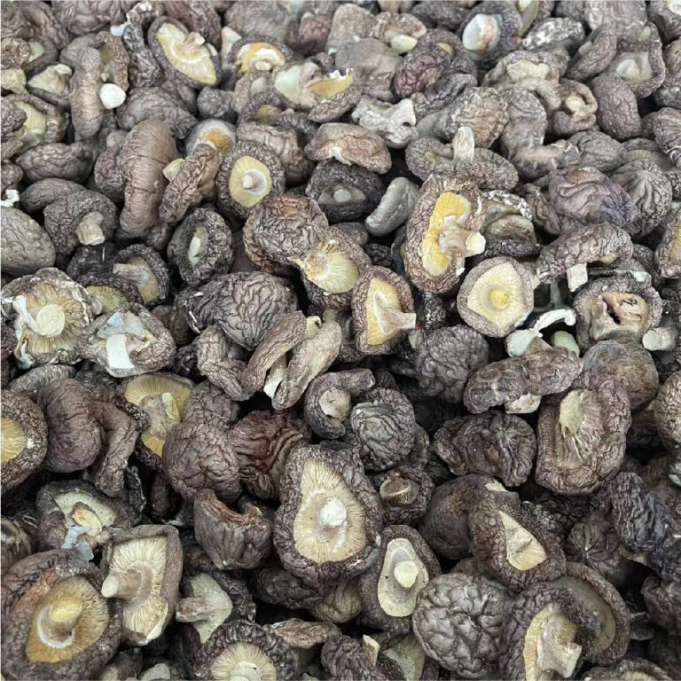 How to Store Shiitake Mushrooms Properly: Complete Storage Guide for Fresh and Dried Shiitake Mushrooms