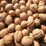 In-shell Walnuts – Natural & Sun-Dried 3
