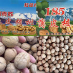 In-shell Walnuts – Natural & Sun-Dried 2