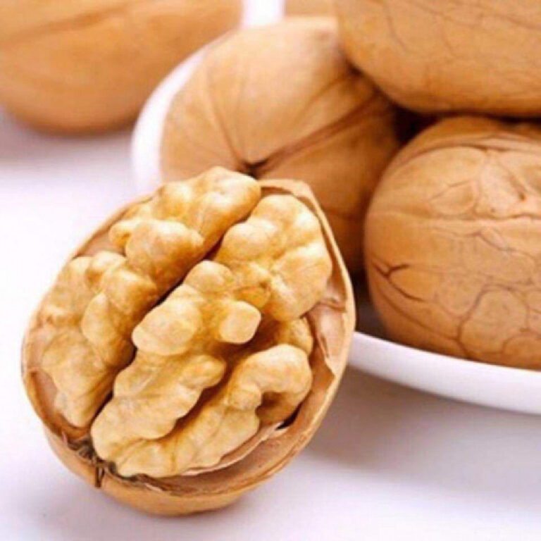 Top Walnut Kernel Uses in the Food Industry (Complete Guide for Importers & Buyers 2026)
