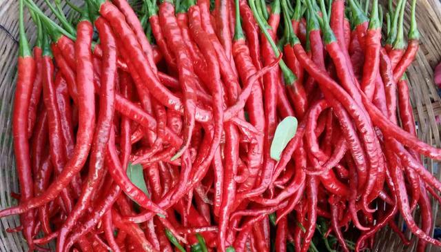 03f453c219d87284d9e5d3f386c22e7d_83d8439f64a229a8907ce04af01083f4b72f1496