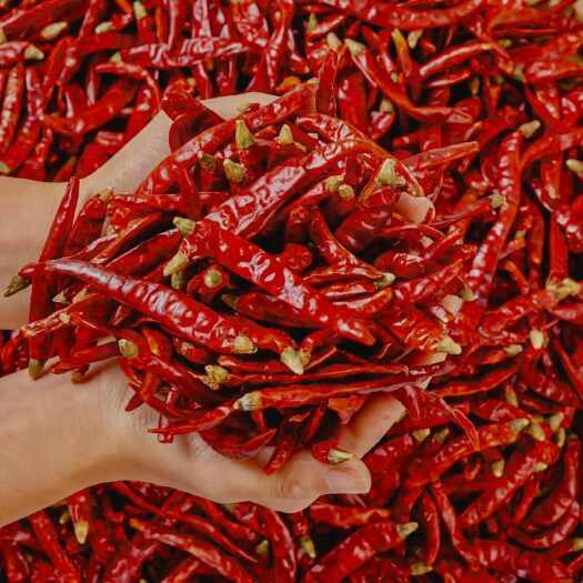 1a53ad1c008138adaf5fddef01e0c028_t0435a3799d4fd7b900