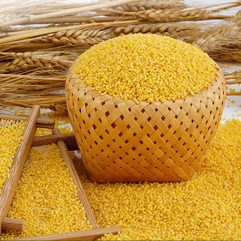 5a51b9d57cd215b6e4de48f3354945eb_t014da49d3e07aef128