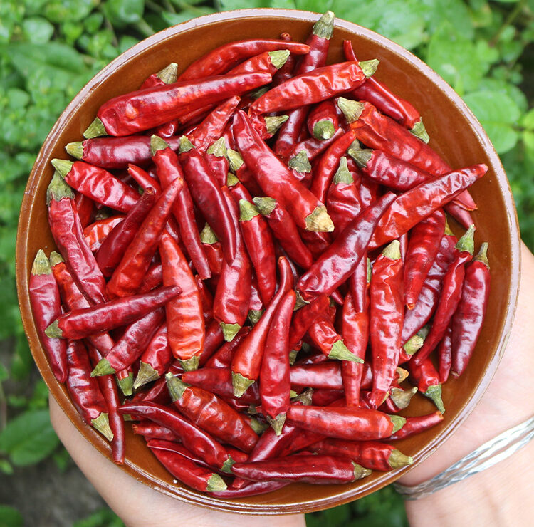 7c34ff855d7cec1edf02eb80851b5946_t0469330f8b0ce7e807