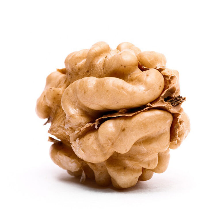 Why Do Walnut Kernels Taste Bitter? Skin-On vs Skinless Guide for Buyers (2026)