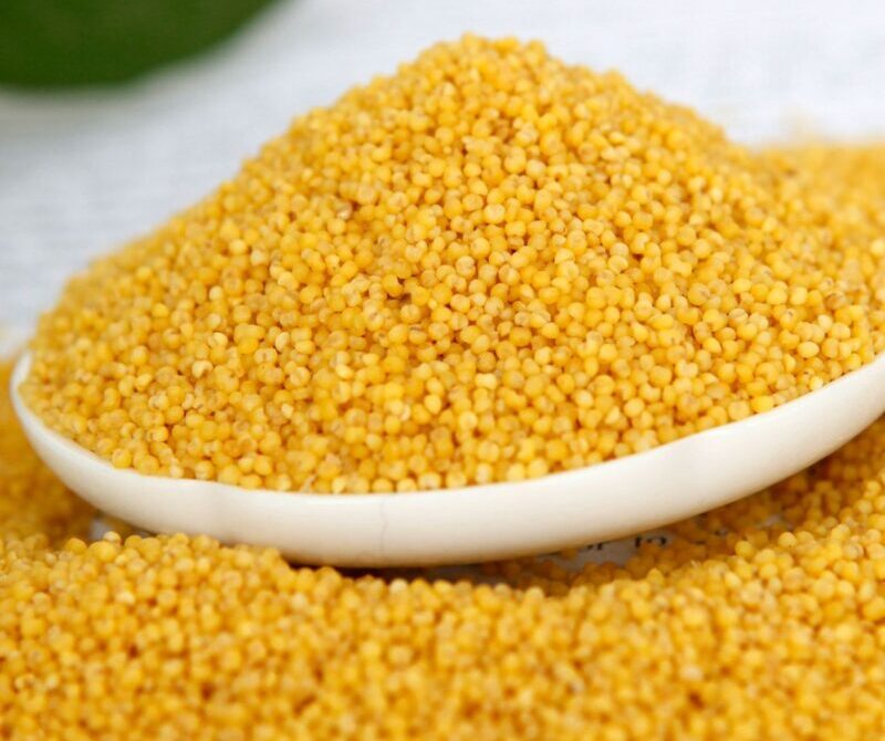 e4dfc5c2117741b0773a801f1d445c1a_6970012540013-16