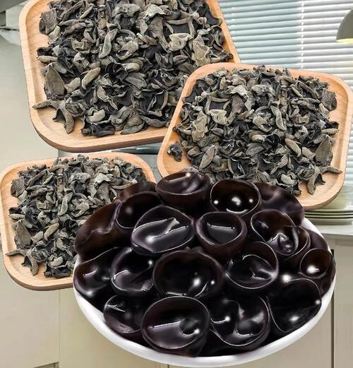 u=189557506,3122916482&fm=253&app=138&f=JPEG