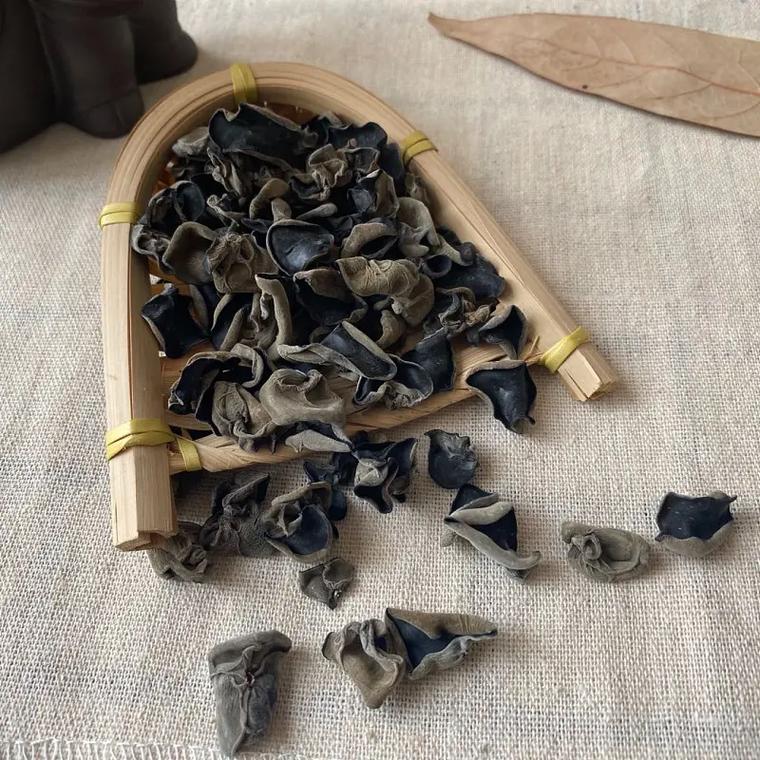 u=2572569786,2135590750&fm=253&app=138&f=JPEG