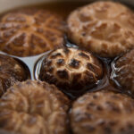 Flower Shiitake Mushrooms 3
