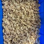 Blanched Walnut Kernels 2