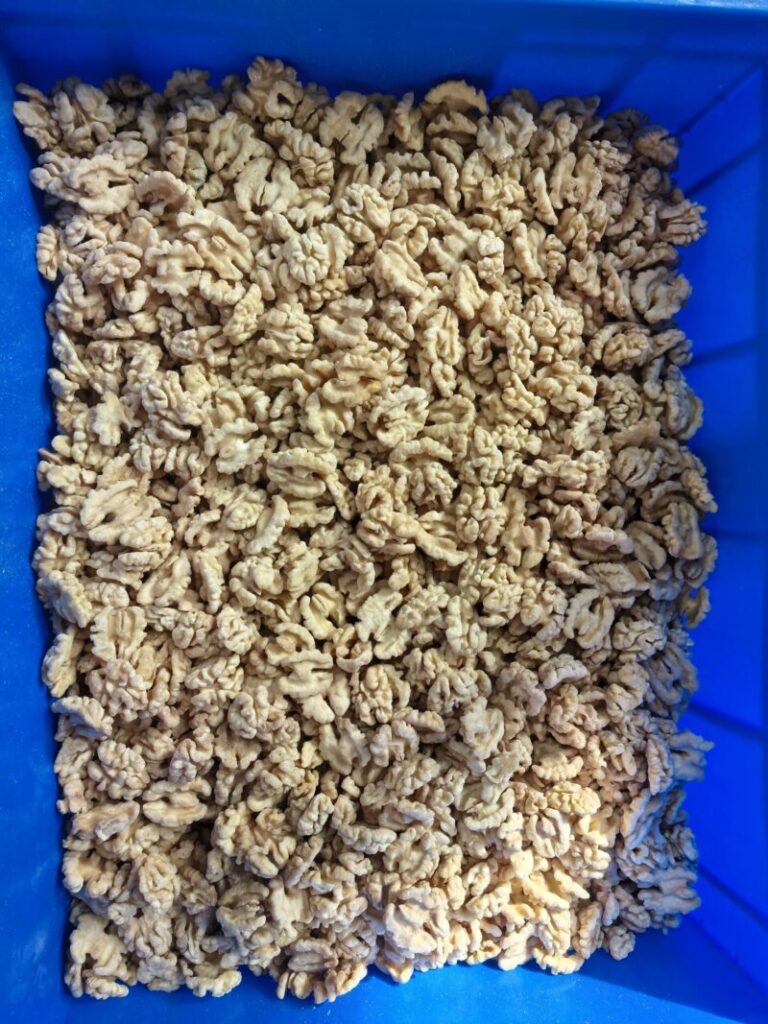 Peeled Walnut Kernels Supplier from China | Bulk Mild Taste Walnut for Snack & Bakery (2026 Guide)