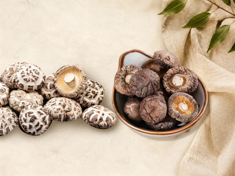 Dried Shiitake Mushroom Grades & Sizes (Complete Guide for Bulk Importers 2026)