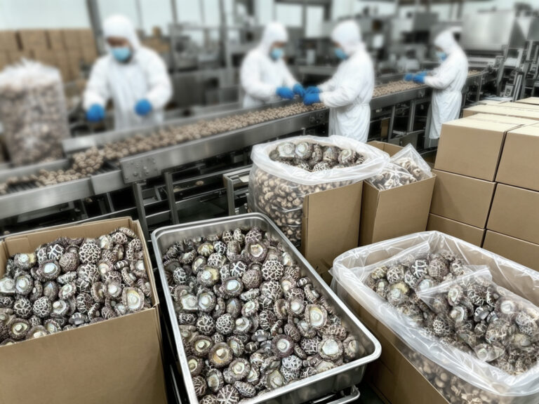 China Shiitake Mushroom Export Process: A Step-by-Step Guide for Importers