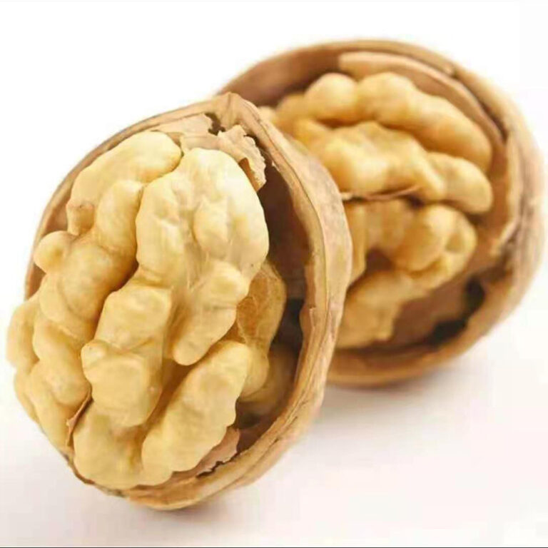 How to Evaluate Walnut Kernel Quality Before Importing (2026)