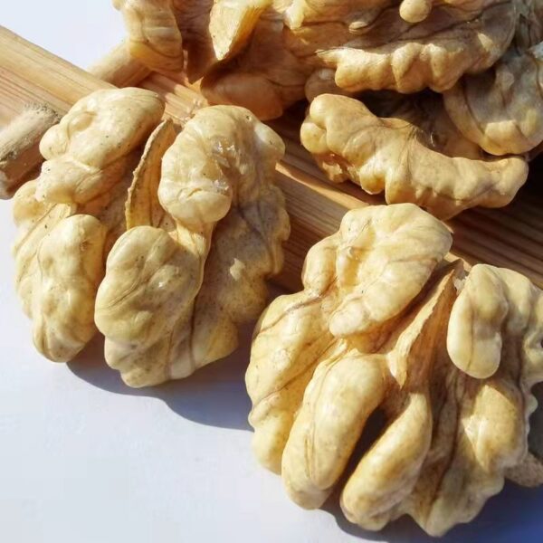 Light Halves Walnut Kernels