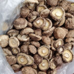 Shiitake Mushrooms for Food Processing 1