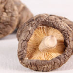 Thick Shiitake Mushrooms 2