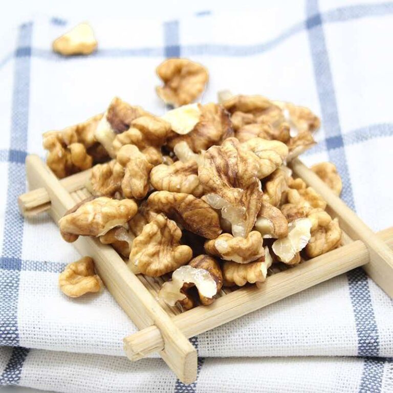 Walnut Kernel Pieces Supplier for Food Processing: A Complete Buying Guide
