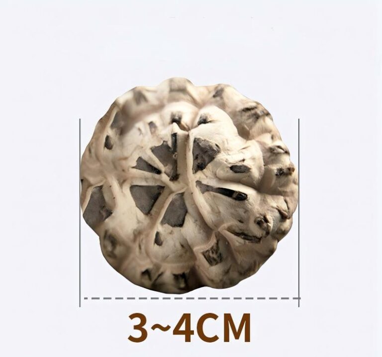Flower Mushrooms Price Guide for Importers & Wholesale Buyers (2026)