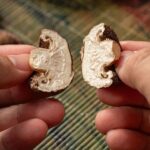 Premium Dried Shiitake Mushrooms 2