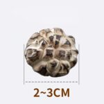 Flower Shiitake Mushrooms 1
