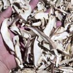 Shiitake Mushroom Strips Supplier 4