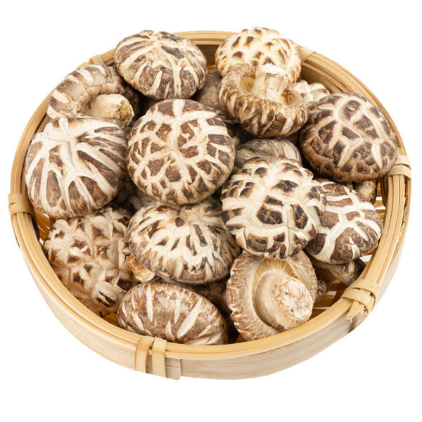 Grade A Shiitake Mushrooms Supplier