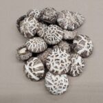 Grade A Shiitake Mushrooms Supplier 2