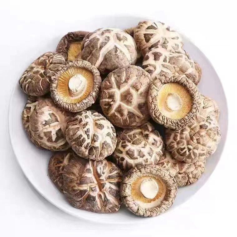 Dried Shiitake Mushrooms
