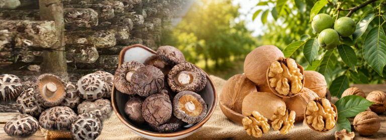 Sun-Dried vs Machine-Dried Shiitake Mushrooms: Quality & Price Differences
