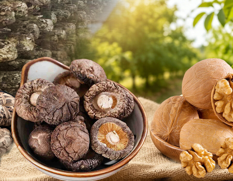 Walnut Kernels – Raw & Cleaned